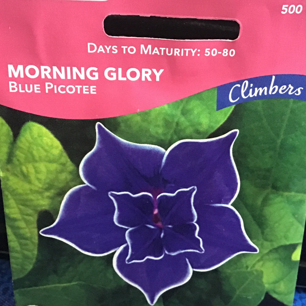 1634429199692.png