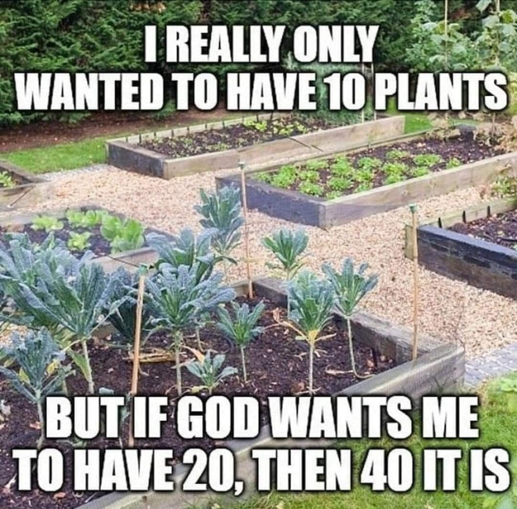 1649018639307.png