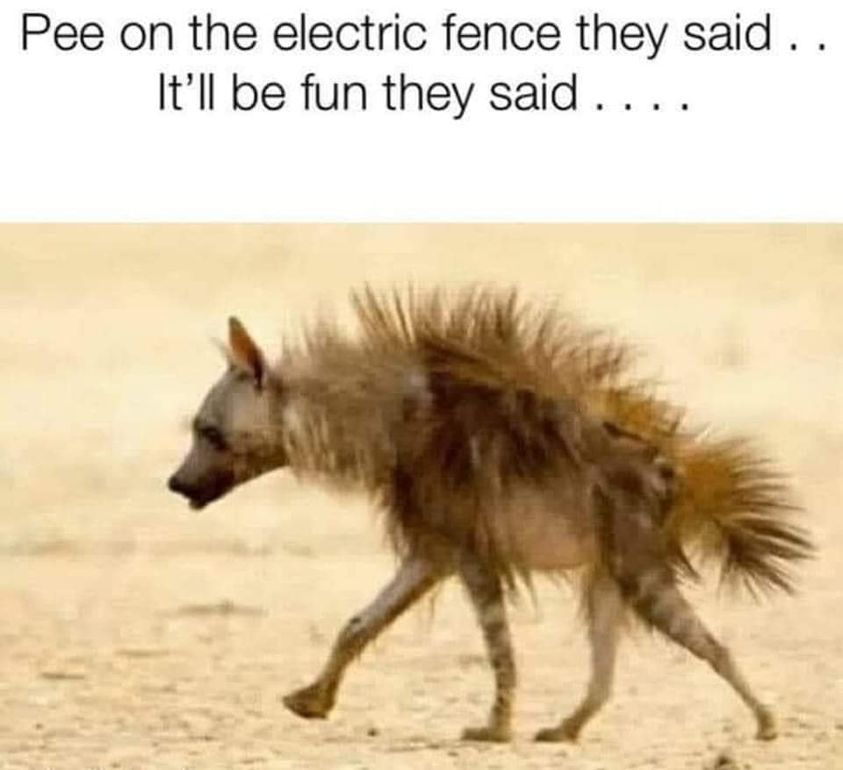 1666980302221.png