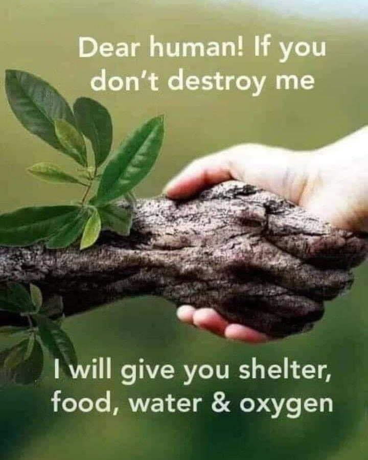 1667516811483.png
