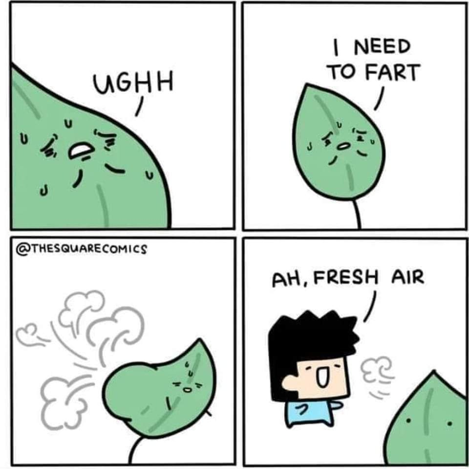 1679495303462.png