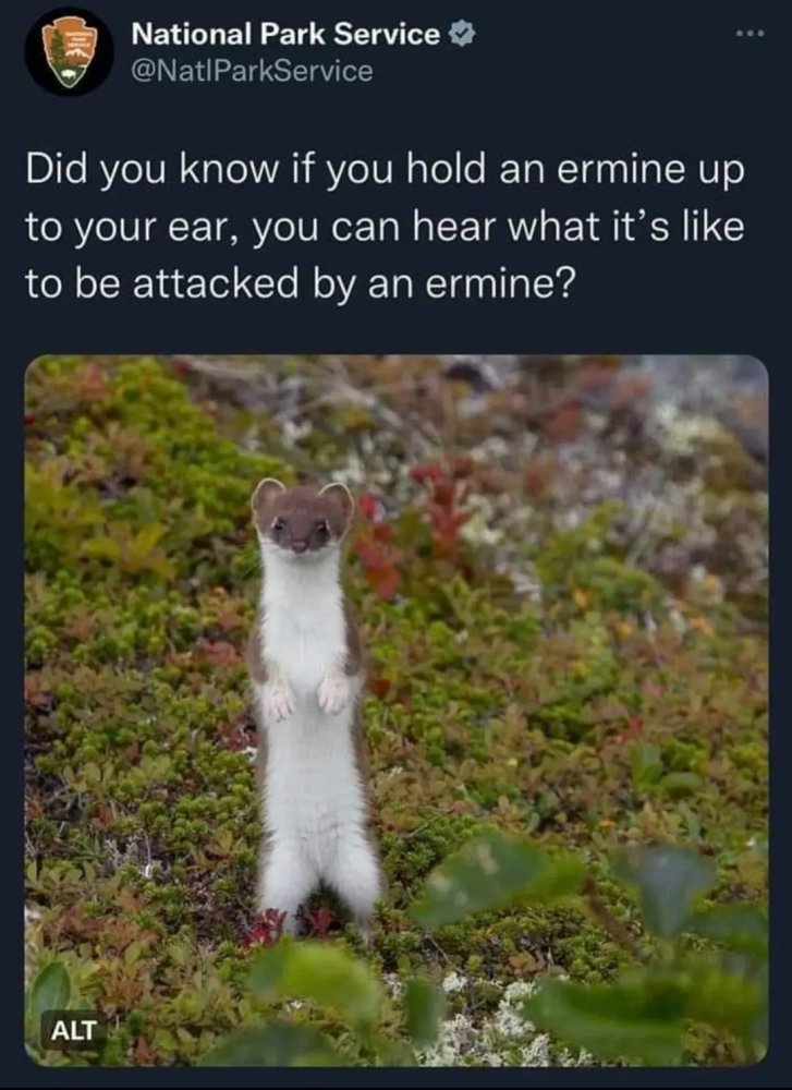 1685330957341.jpeg