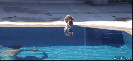 1744205133961.gif