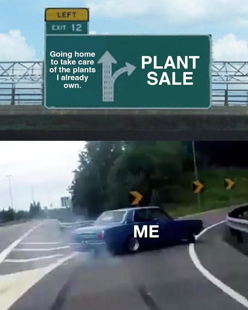 1746153804563.png