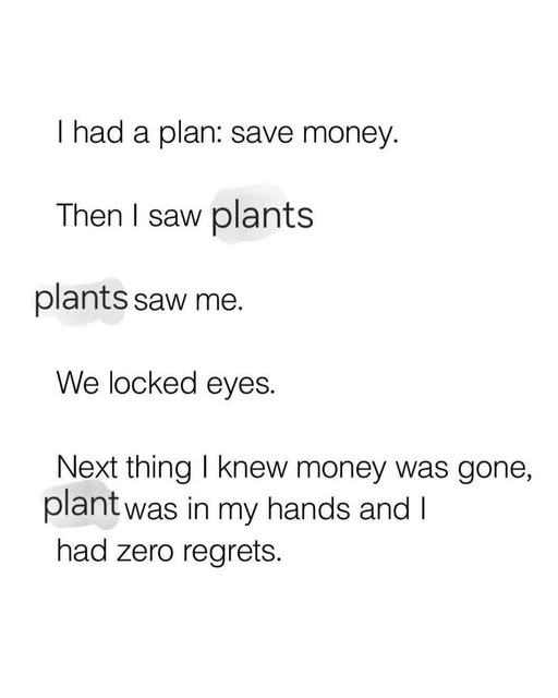 1747228357393.png