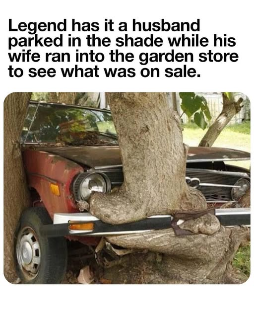 1747684625807.png