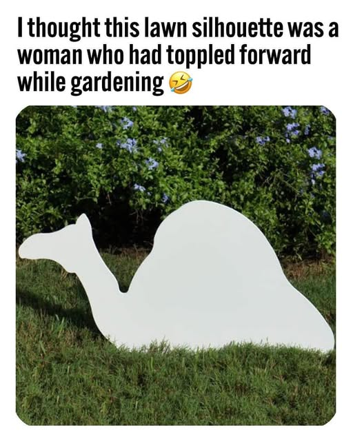 1750521500350.png