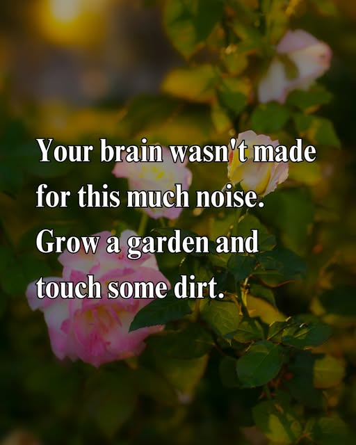 1752423682077.png