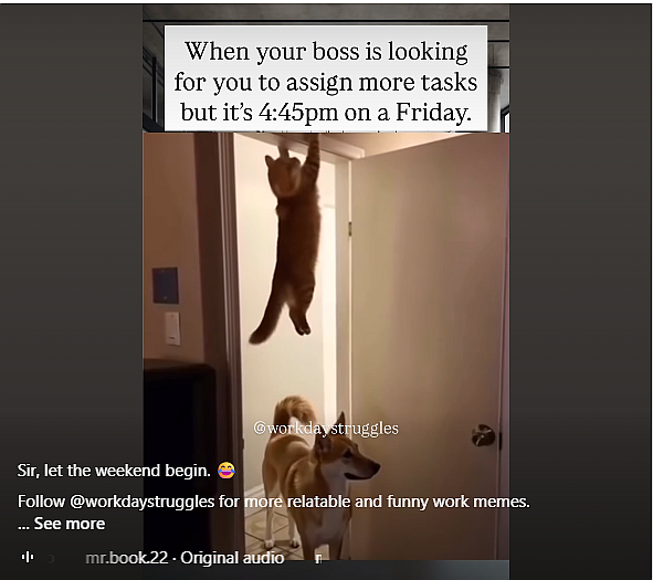 1753727147597.png