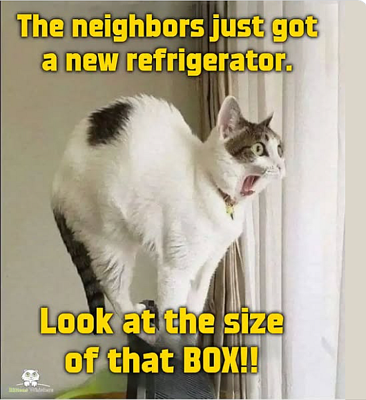 1755372832289.png