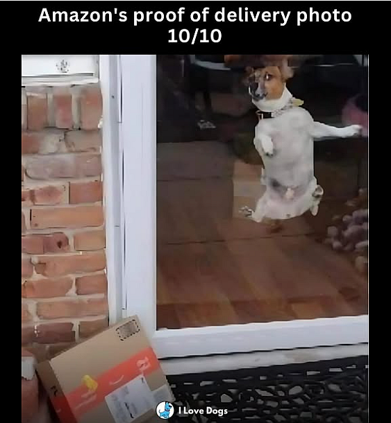 1755373132445.png