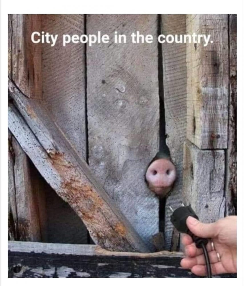 1AA253F5-F0E0-46B9-A49F-2F74D853573E.jpeg