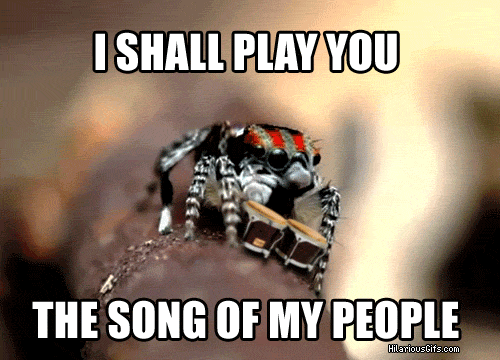 1c5a0ece2ab94de6ed568fcf4a3888b7e043aa36.gif