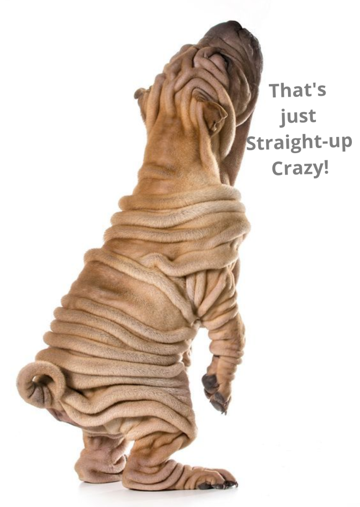 1C93FEC0-E189-4E67-A099-549A1AEAF85C.png