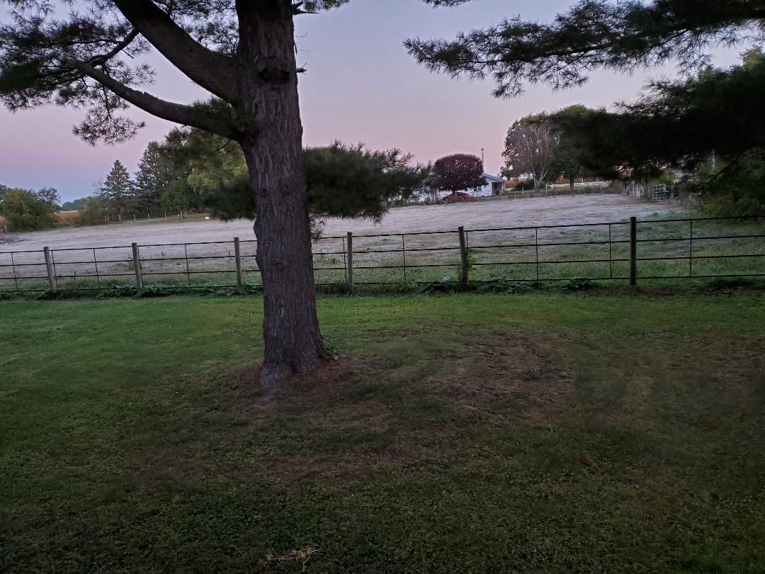 1st Frost, #1.jpg