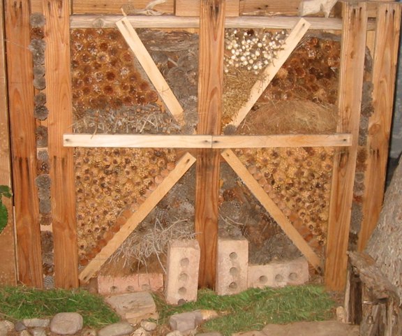 2 18 2014 Bug Hotel 02 email.JPG