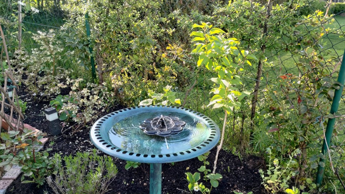 20091.jpg
