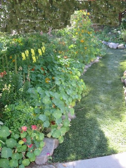 2010 Front path Turf email.jpg