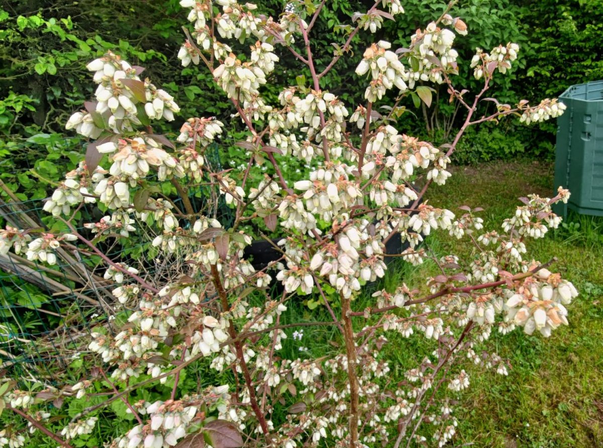 20109.jpg