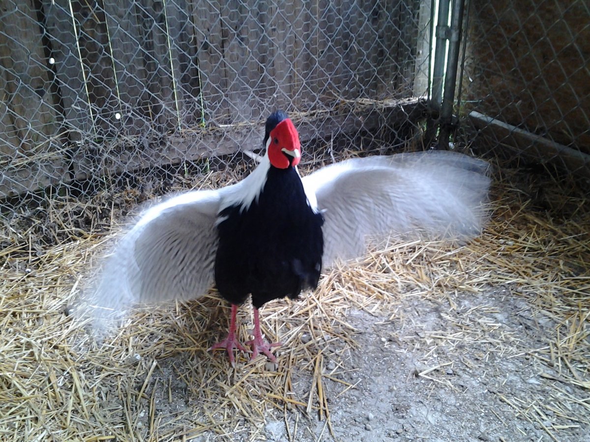 20130508_153419.jpg