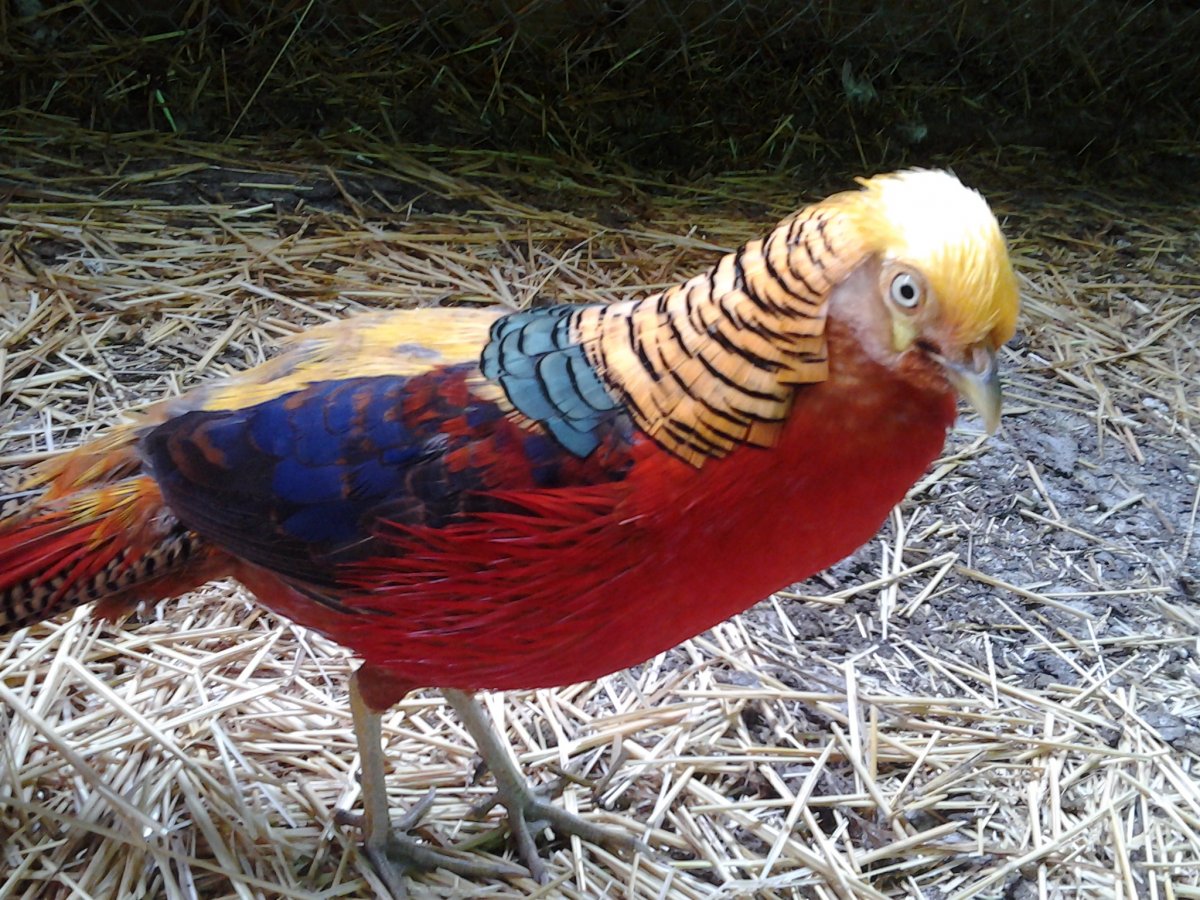 20130508_153520.jpg