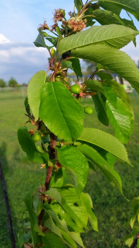 2015-04-10 09.35.33.jpg