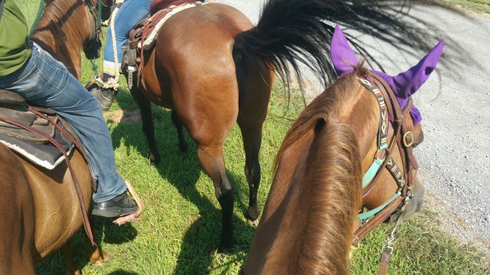 2015-08-14 13.49.16.jpg