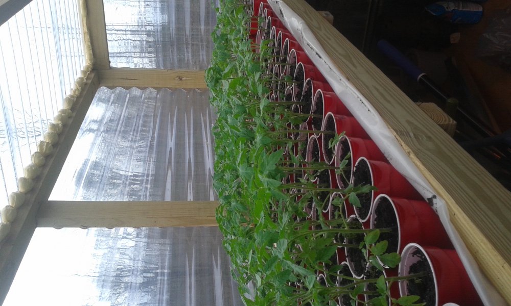 20150320_180004.jpg