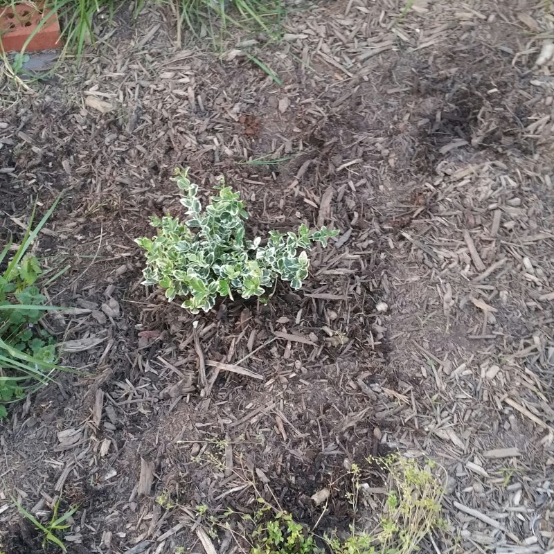 20150504_200029-1.jpg