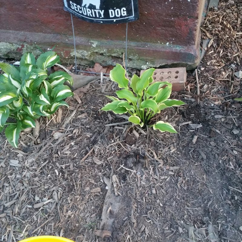 20150504_200119-1.jpg