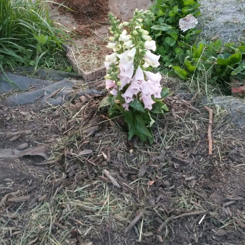 20150504_200122-1.jpg
