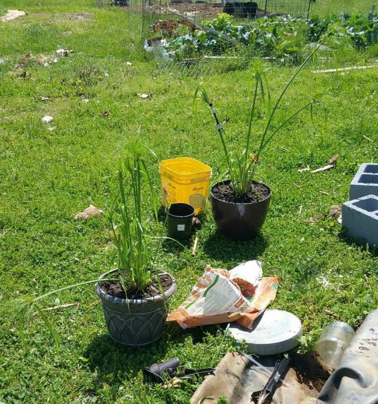 20150509_151342-1_resized.jpg