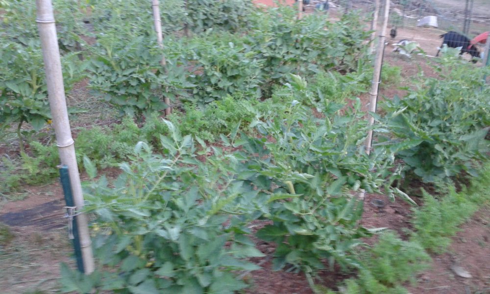 20150519_201945.jpg
