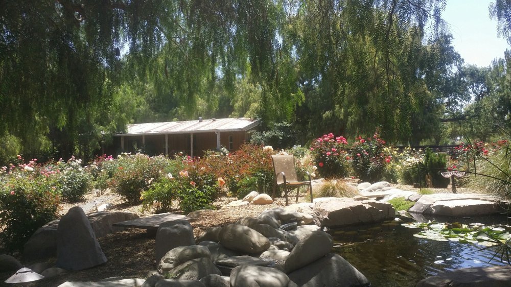 20150520_140634_resized.jpg