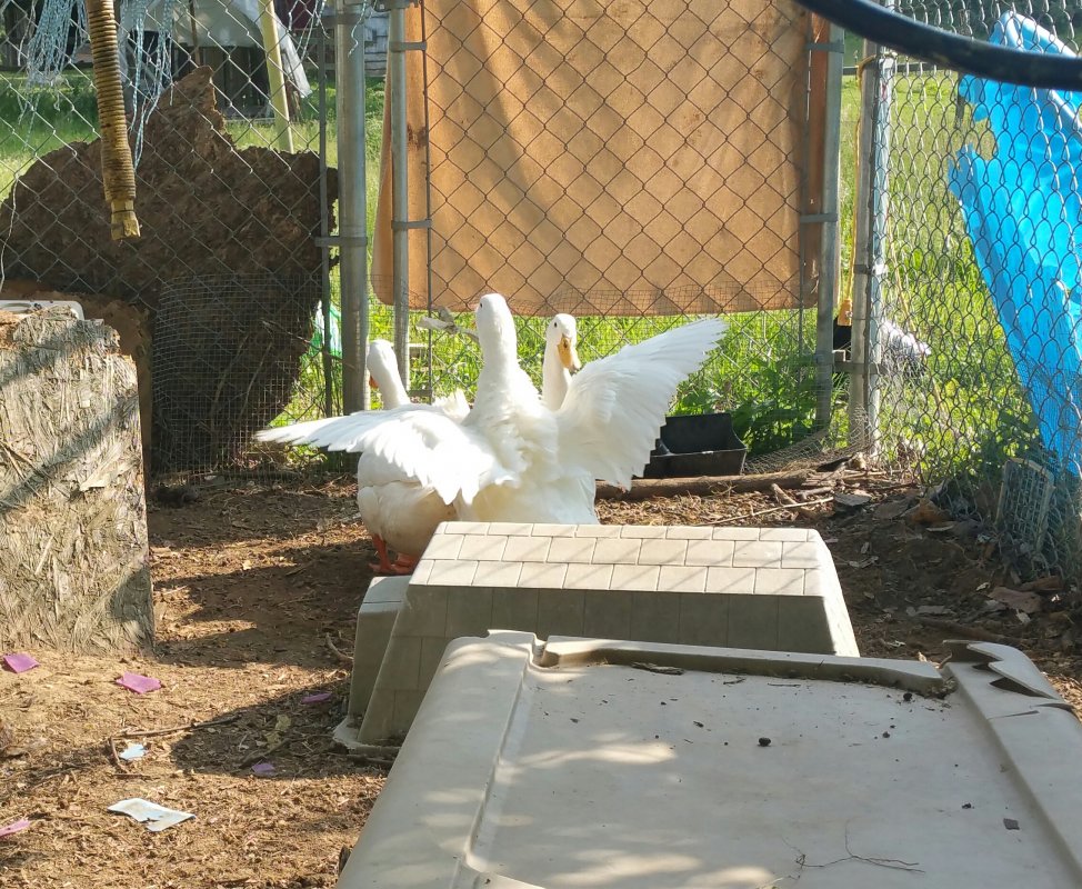 20150524_173601-1.jpg