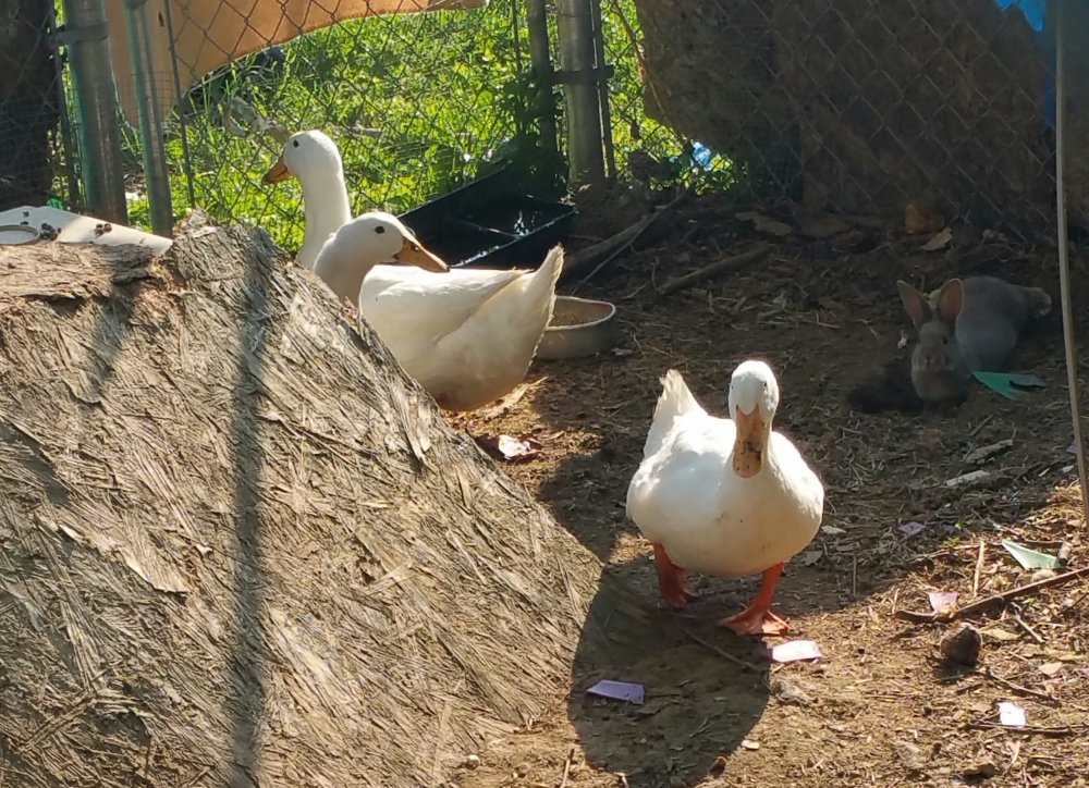 20150524_175239-1.jpg