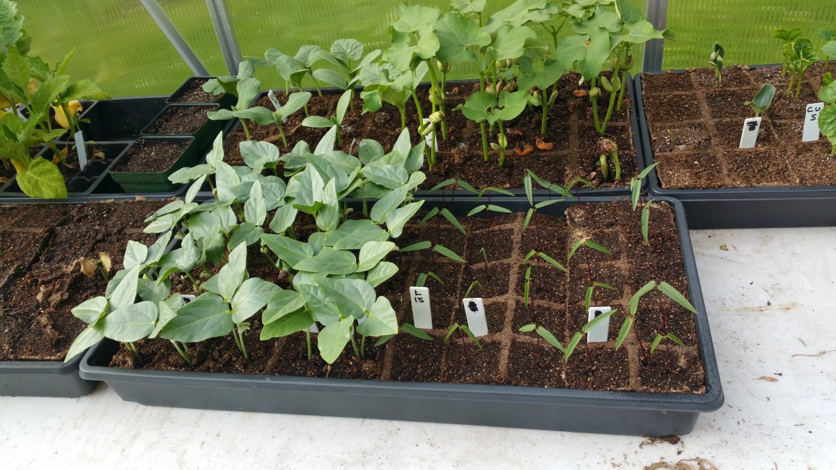 20150612_173745.jpg