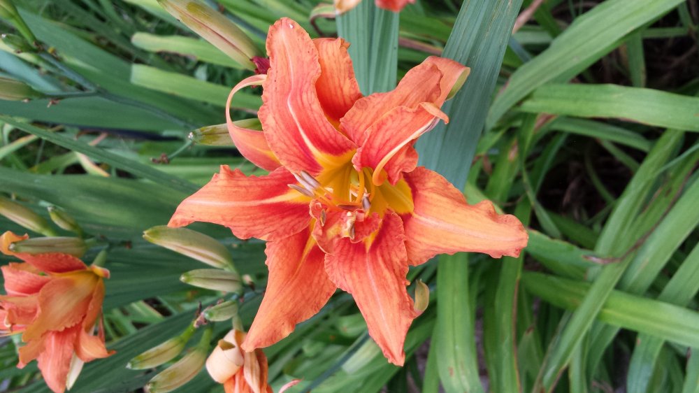 20150702_082217.jpg