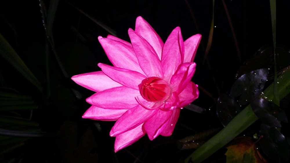 20150706_204612.jpg
