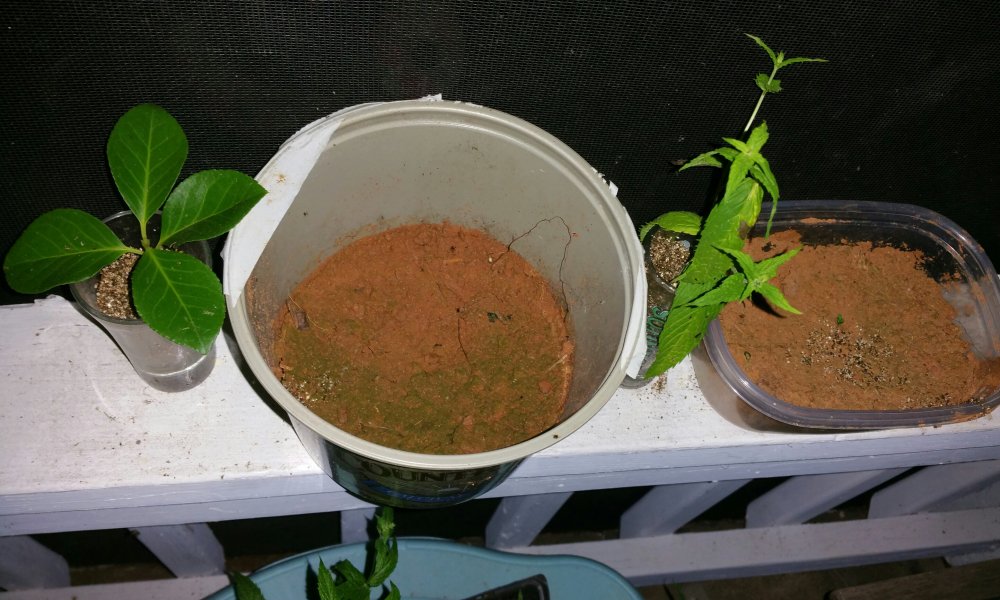 20150715_234750-1.jpg