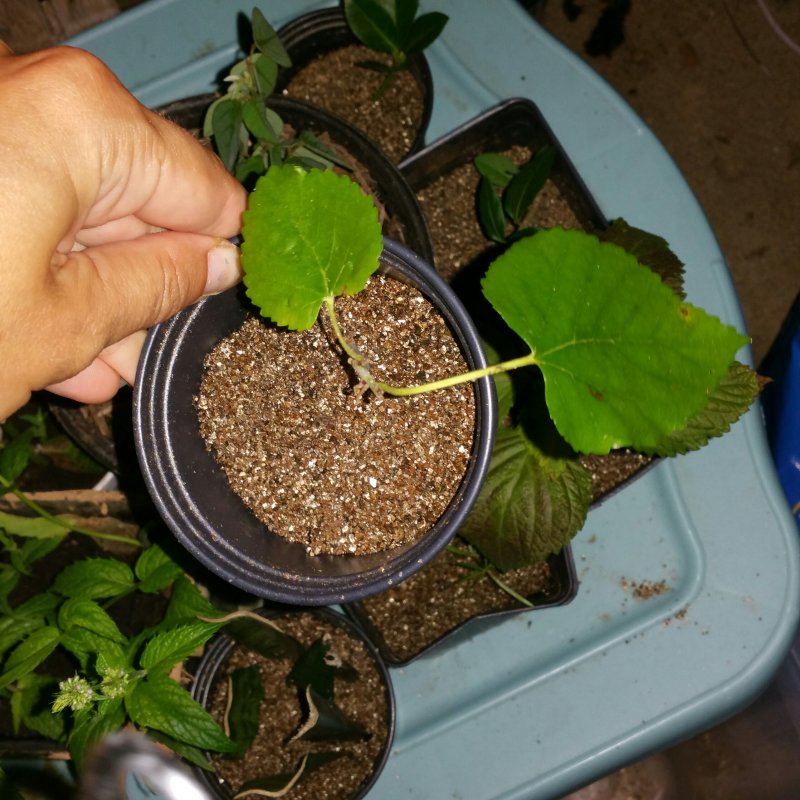 20150715_234842-1.jpg