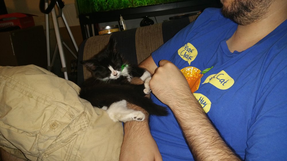 20150727_105827.jpg