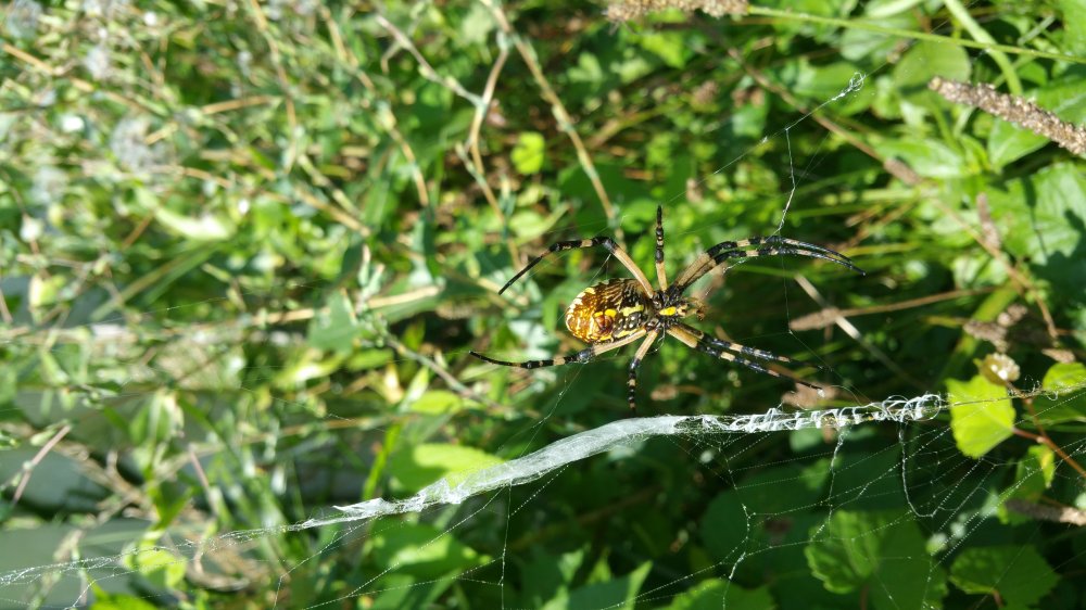 20150801_120219.jpg
