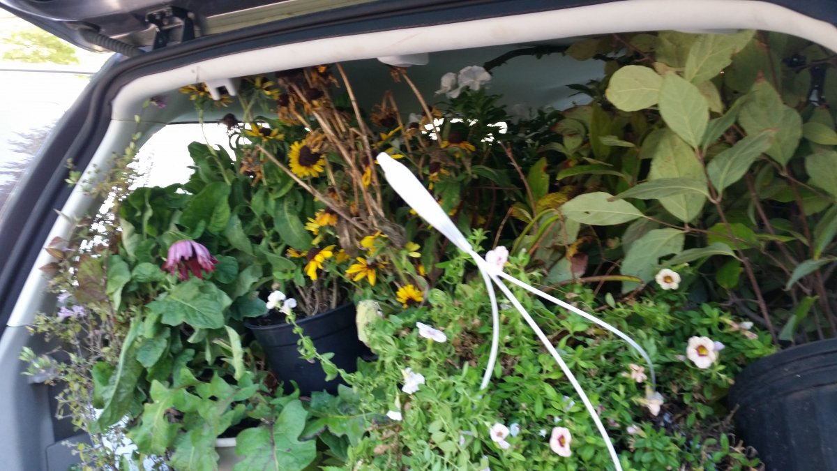 20150906_093319.jpg