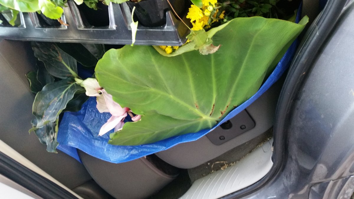20150906_093356.jpg