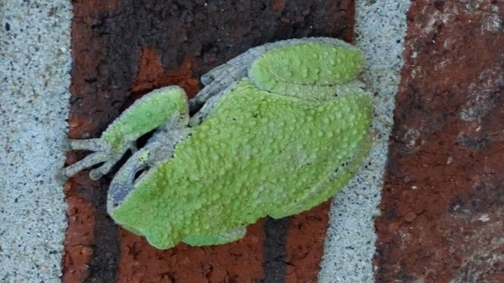 20150923_124028.jpg