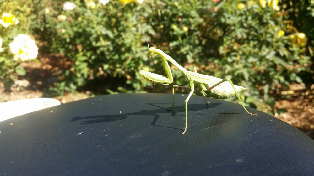 20150930_100702_resized.jpg