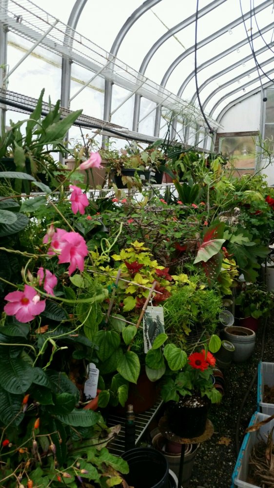20151028_131300.jpg