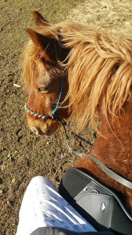 2016-02-11 16.14.54.jpg