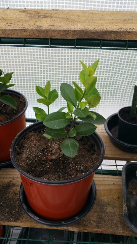 2016-04-04 16.54.09.jpg